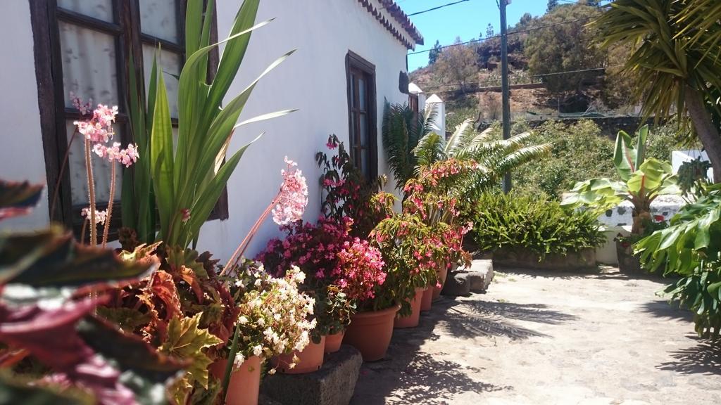 Casitas La Montanita Konuk evi El Paso Dış mekan fotoğraf