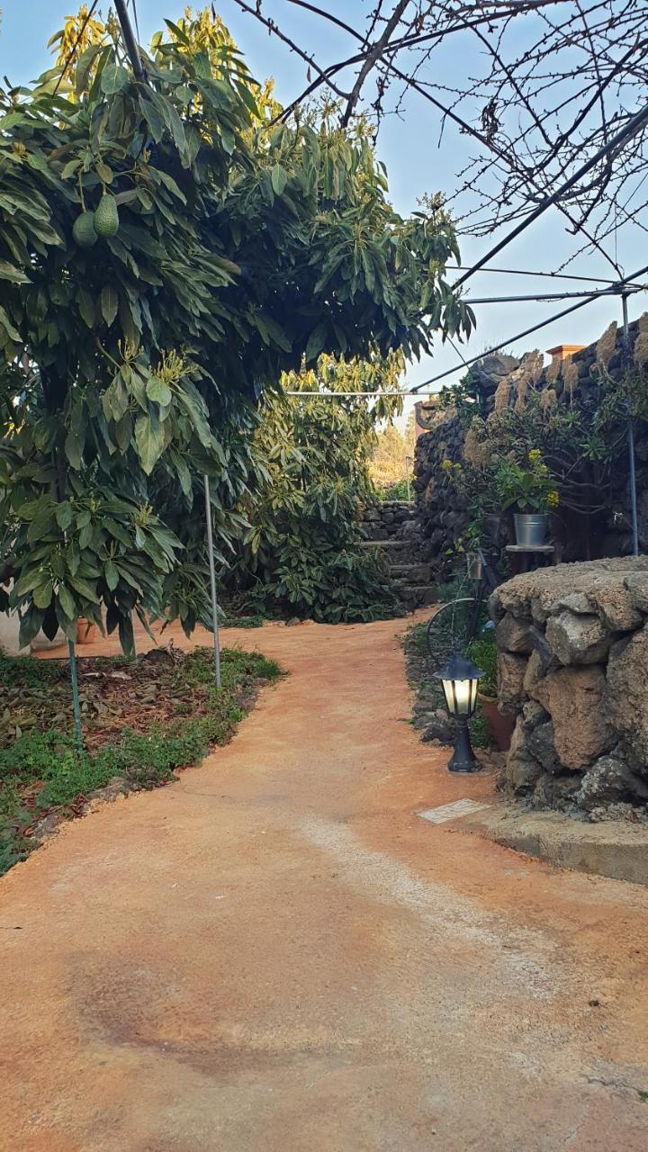 Casitas La Montanita Konuk evi El Paso Dış mekan fotoğraf
