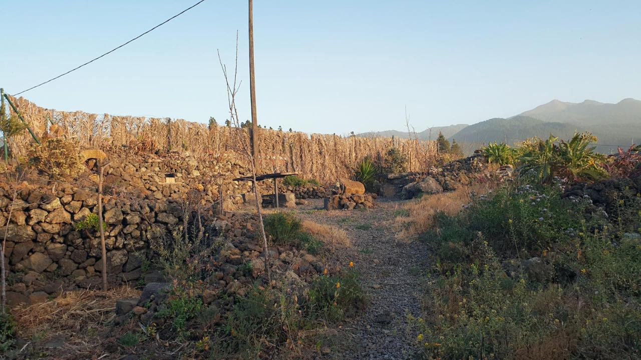 Casitas La Montanita Konuk evi El Paso Dış mekan fotoğraf